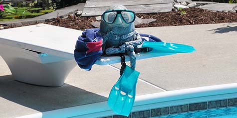 Humpty Dumpty goes diving