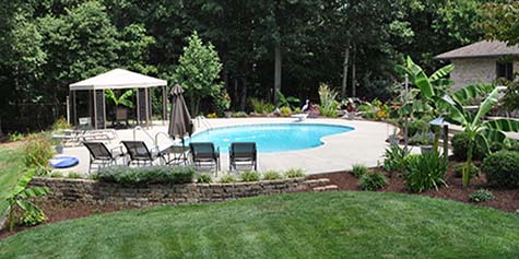 Backyard Paradise: The Pool