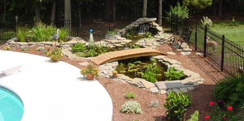 The Fish Pond