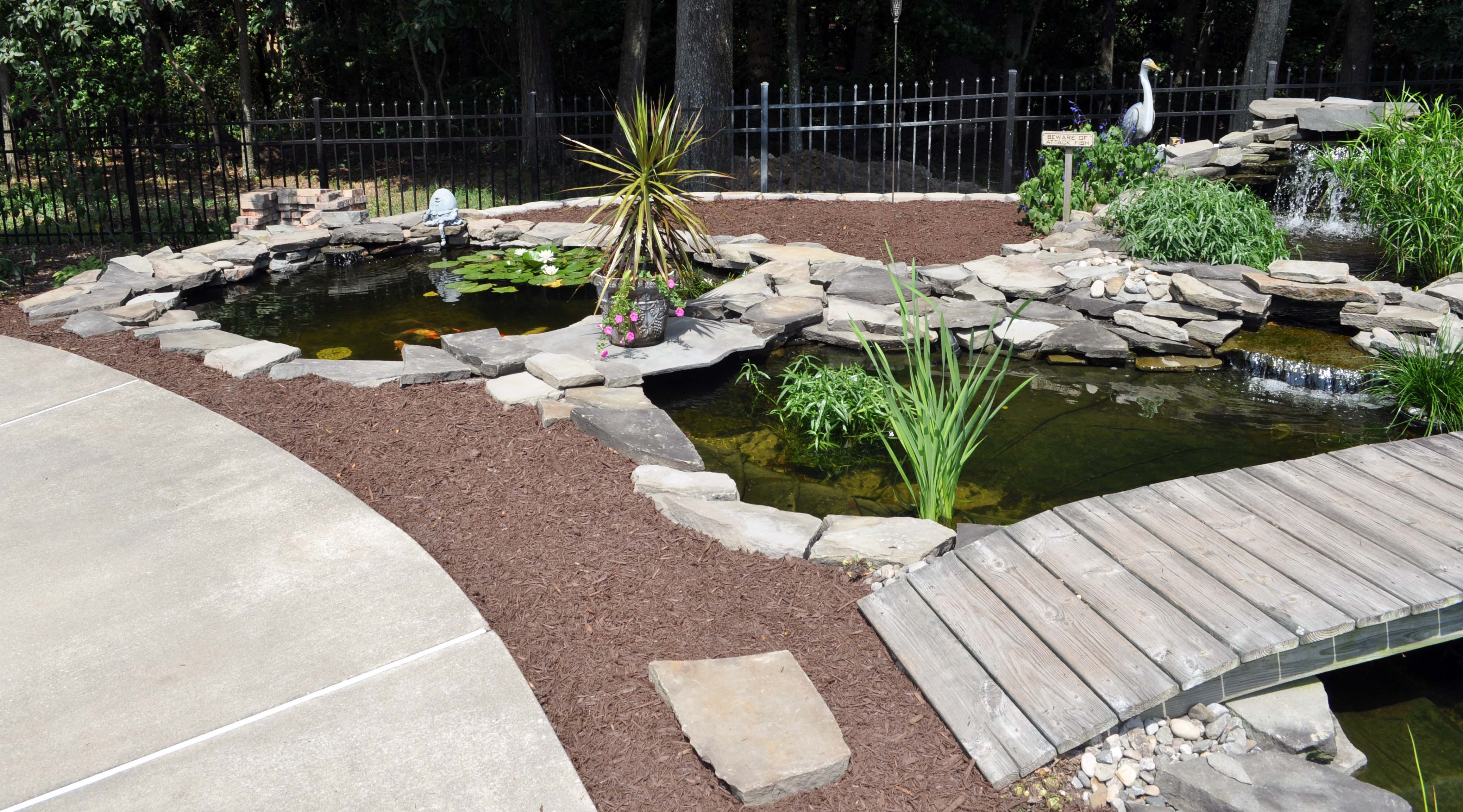 Fish Pond Nearing Completion Random Thoughts And Photos