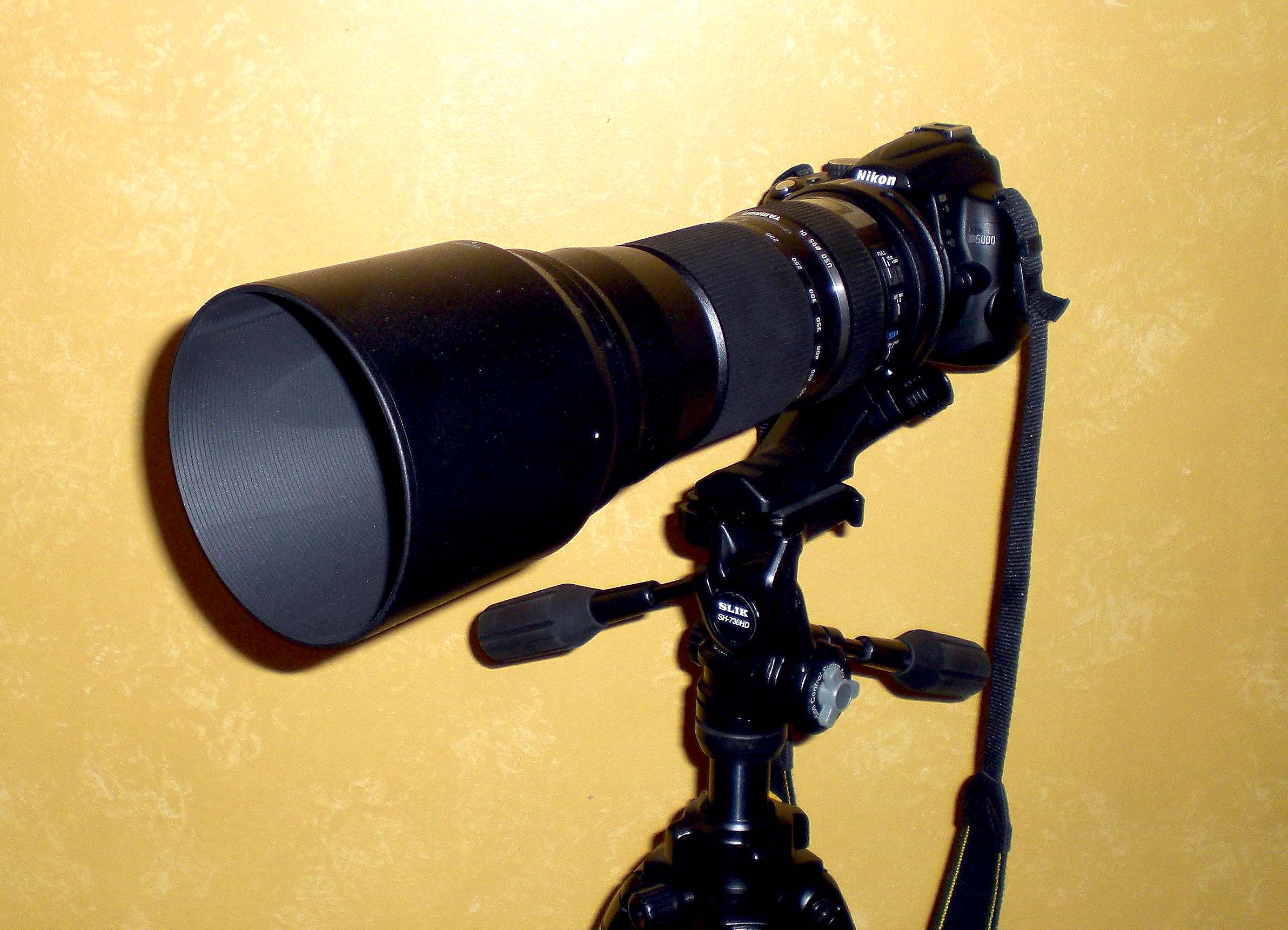 Tamron 150-600mm on the Nikon D5000